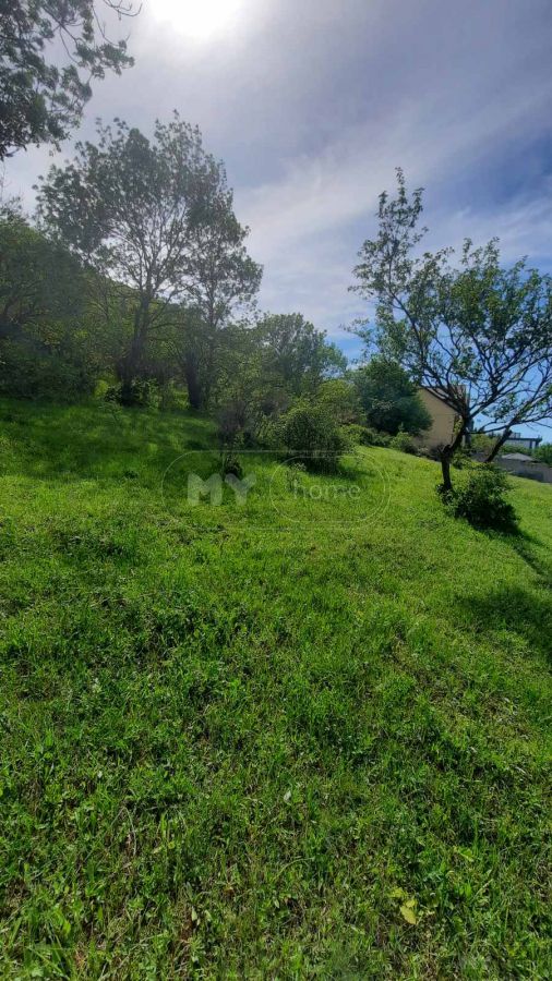 For Sale Ara Sasoplo-Sameurneo Land Plot Zemo Lisze view 10