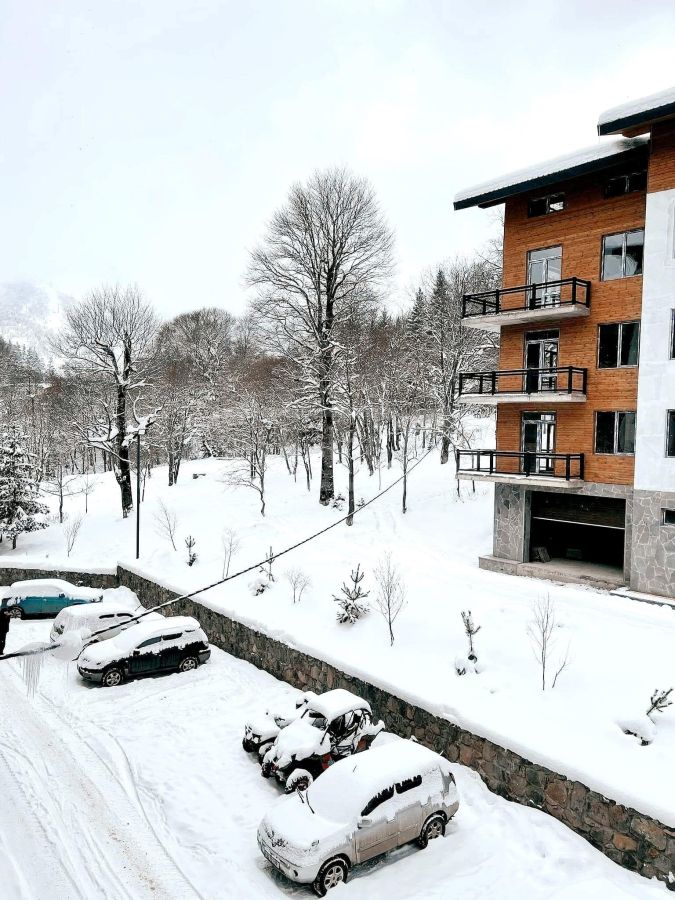 Daily Rent 2 Room Apartment Bakurianshi view 3