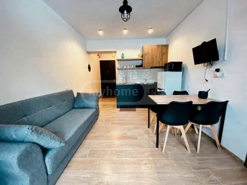 Daily Rent 2 Room Apartment Bakurianshi view 7