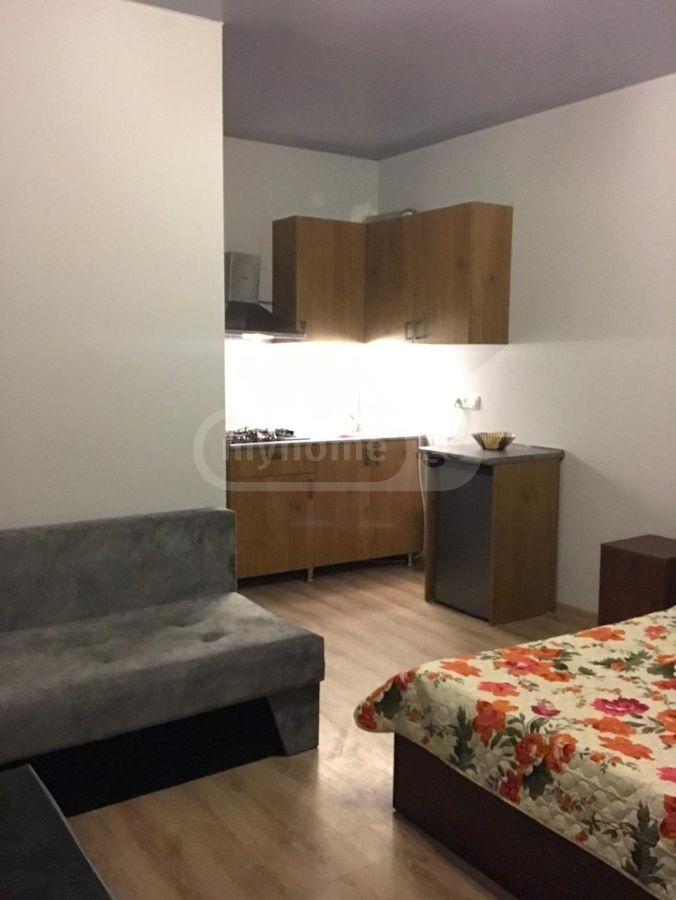 For Sale 5 Room Sastumro Borjomshi view 8