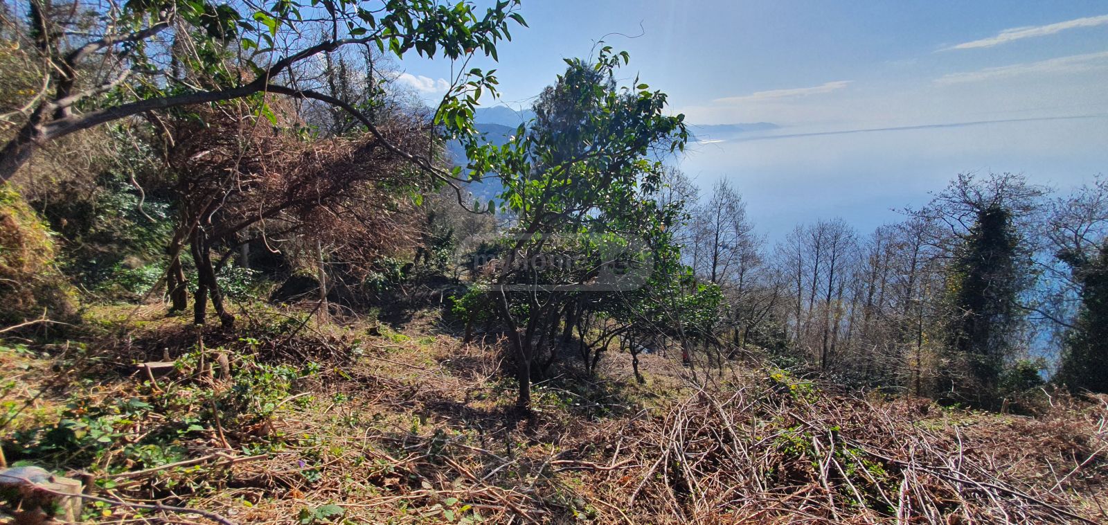 იყიდება Agricultural Plot In Khelvachauri Municipalityში view 9