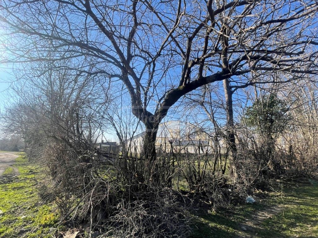 For Sale Satsarmoo Commercial Space Tsqaltuboshi view 3