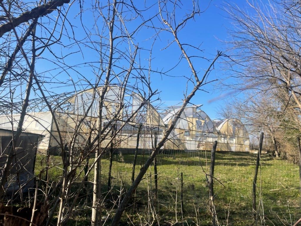 For Sale Satsarmoo Commercial Space Tsqaltuboshi view 4
