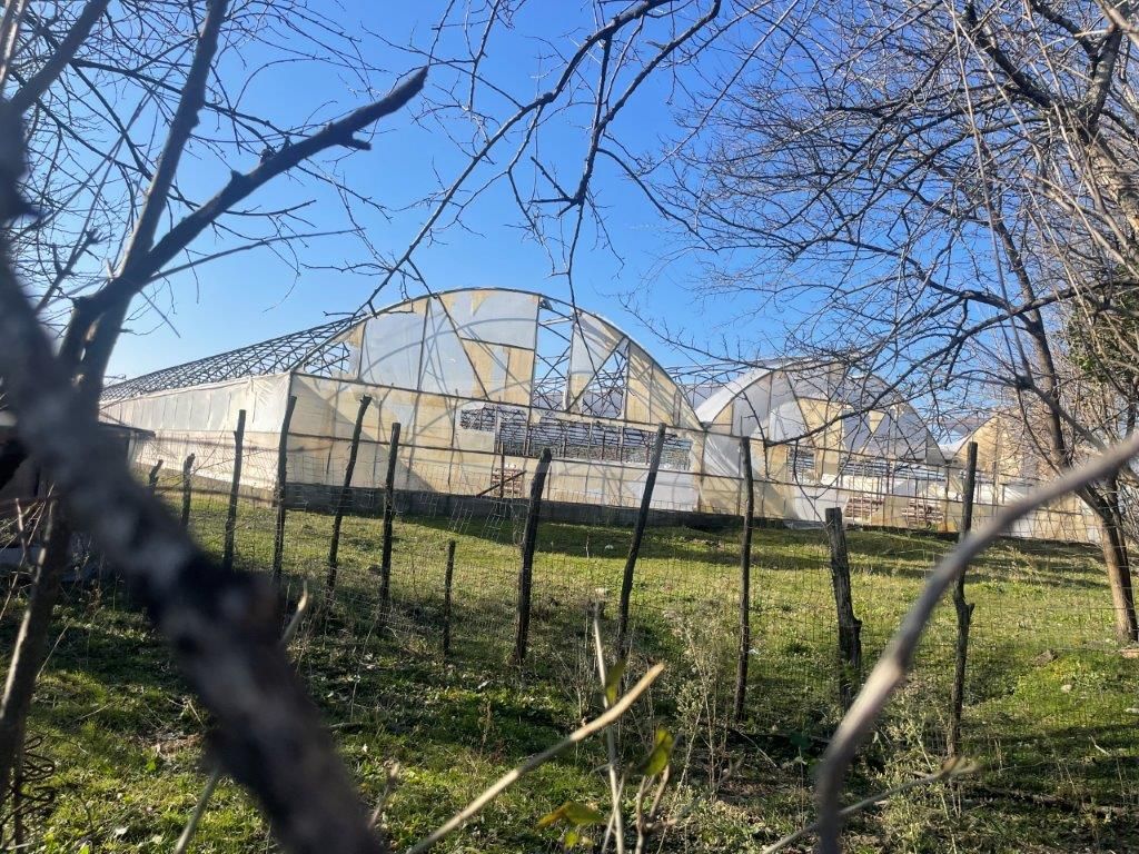 For Sale Satsarmoo Commercial Space Tsqaltuboshi view 5
