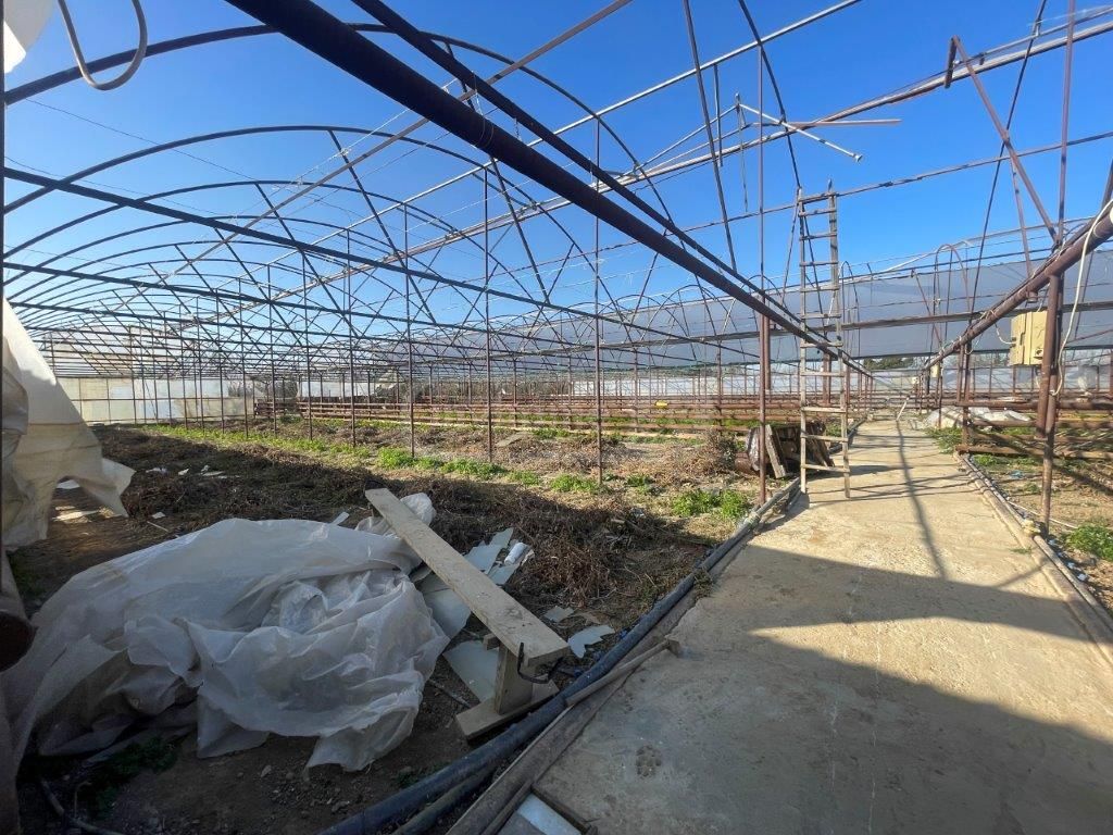 For Sale Satsarmoo Commercial Space Tsqaltuboshi view 7