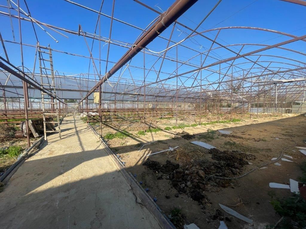 For Sale Satsarmoo Commercial Space Tsqaltuboshi view 8