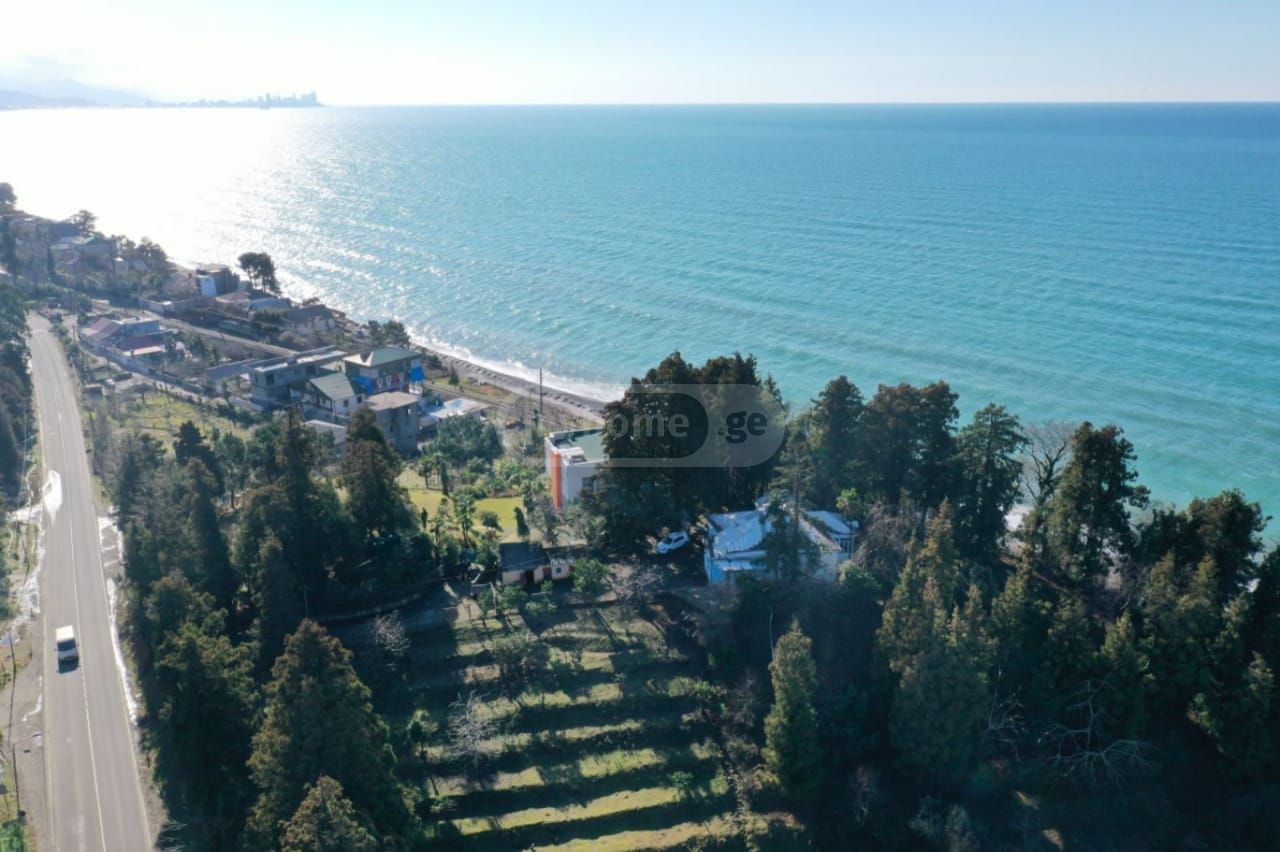 For Sale Ara Sasoplo-Sameurneo Land Plot Kobuletis Munitsipalitetshi view 5