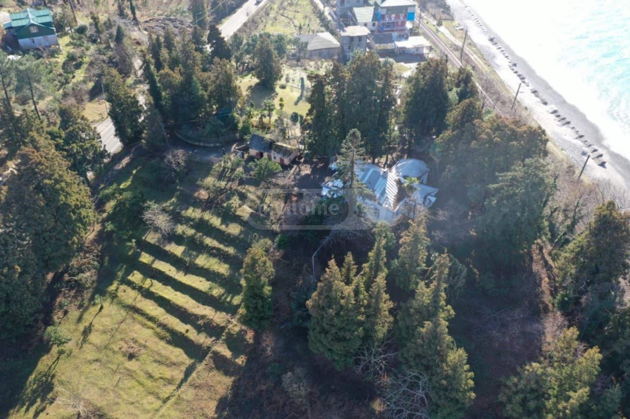 For Sale Ara Sasoplo-Sameurneo Land Plot Kobuletis Munitsipalitetshi view 9