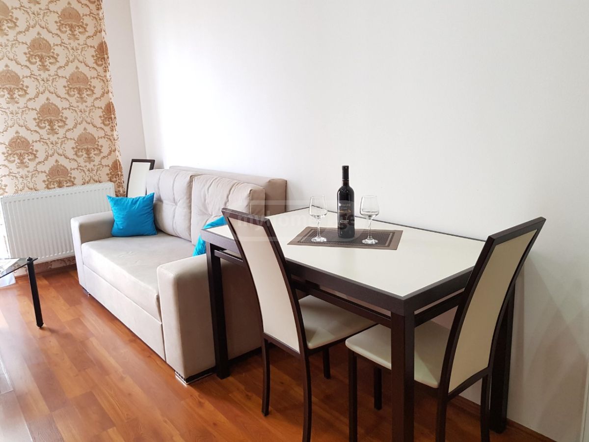 1 Room Apartment Daily Rent In Isani view 9