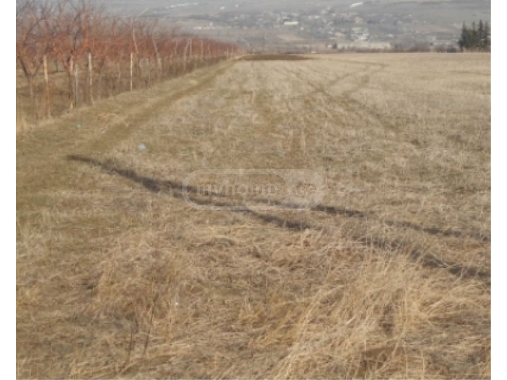 Agricultural Plot For Sale view 1
