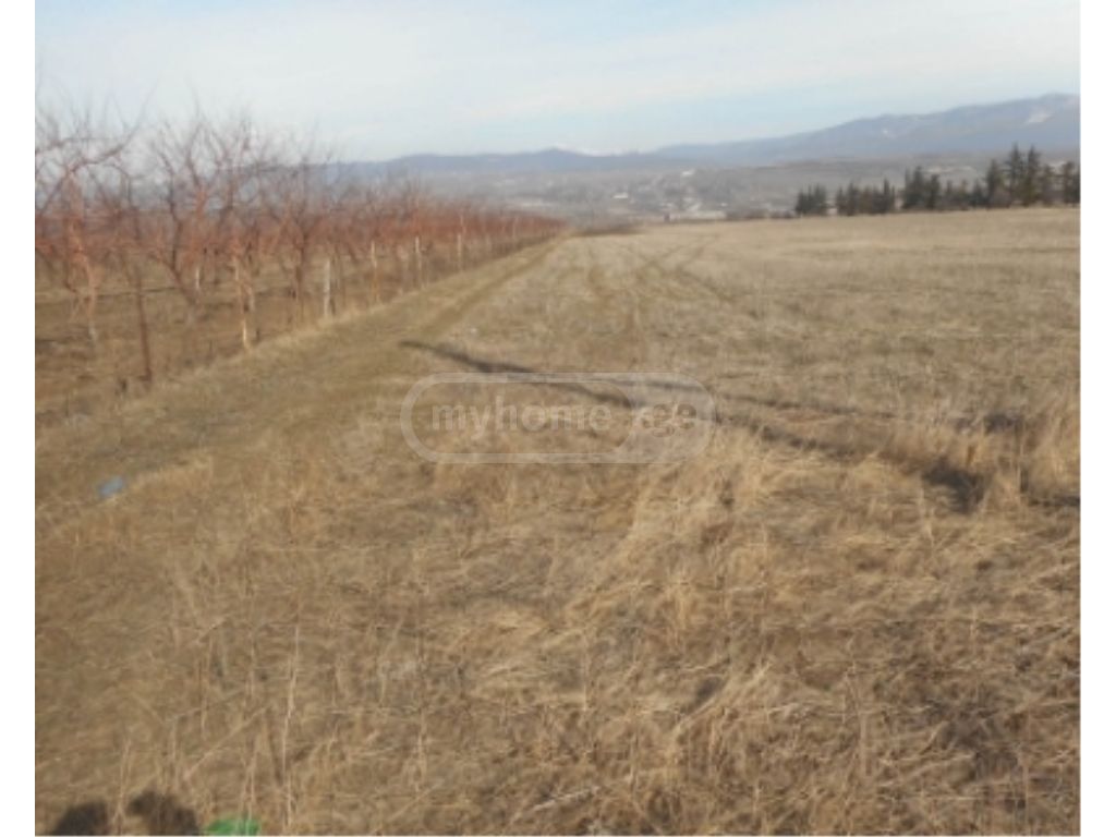 Agricultural Plot For Sale view 2
