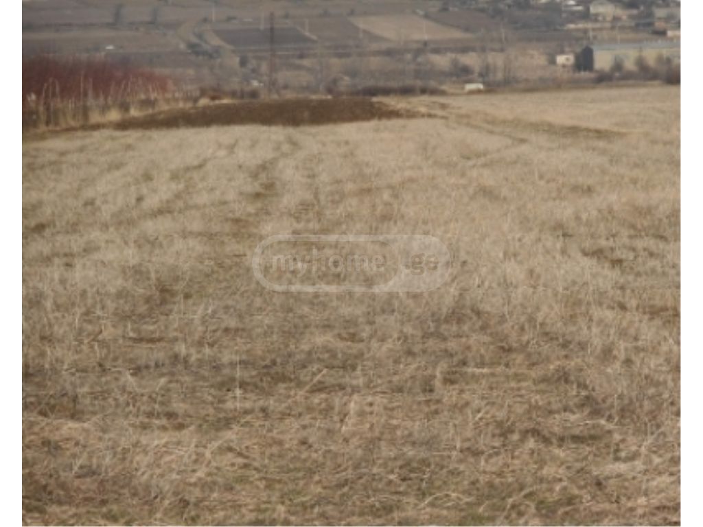 Agricultural Plot For Sale view 3