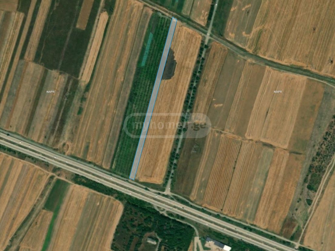Agricultural Plot For Sale view 5