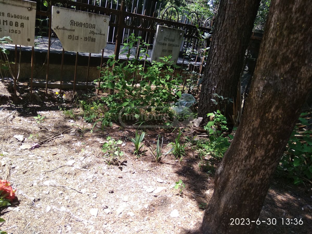 For Sale Ara Sasoplo-Sameurneo Land Plot In Vake, 1 of 2