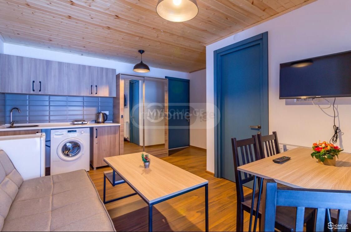Daily Rent 2 Room Sastumro Bakurianshi view 11