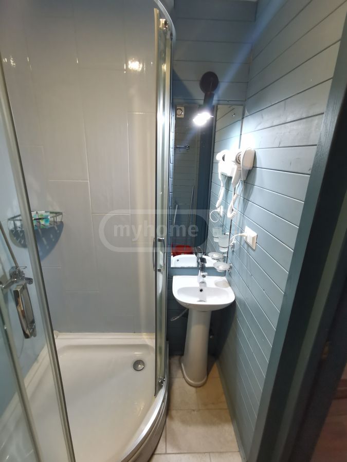 Daily Rent 2 Room Sastumro Bakurianshi view 12