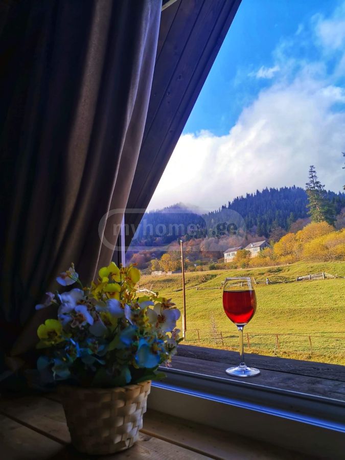 Daily Rent 2 Room Sastumro Bakurianshi view 2