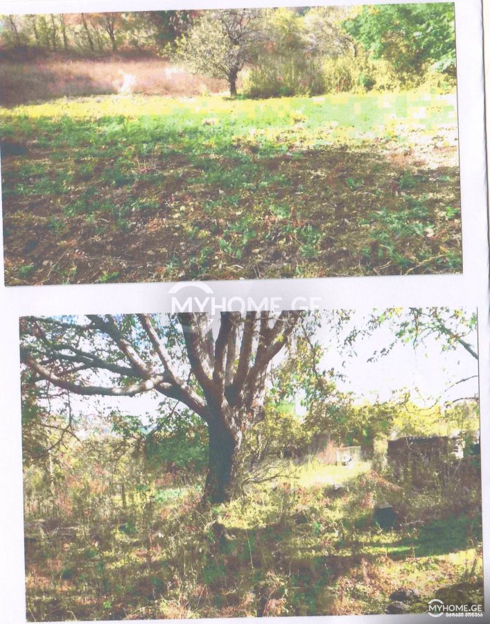 For Sale Sasoplo-Sameurneo Land Plot Tetritsqaroshi view 1