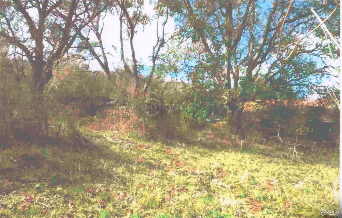 For Sale Sasoplo-Sameurneo Land Plot Tetritsqaroshi view 2