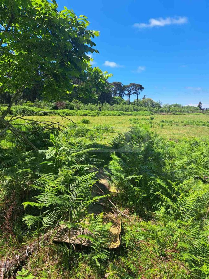 For Sale Ara Sasoplo-Sameurneo Land Plot Kobuletshi view 3