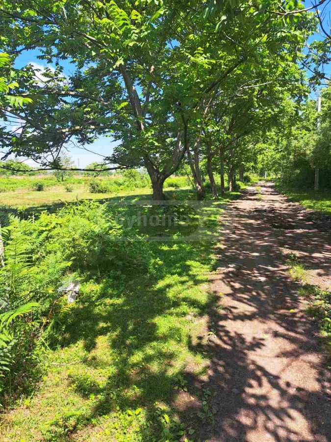 For Sale Ara Sasoplo-Sameurneo Land Plot Kobuletshi view 4