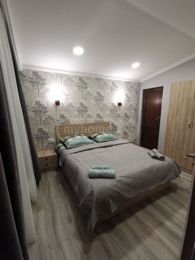 Daily Rent 3 Room Country House Bakurianshi view 10