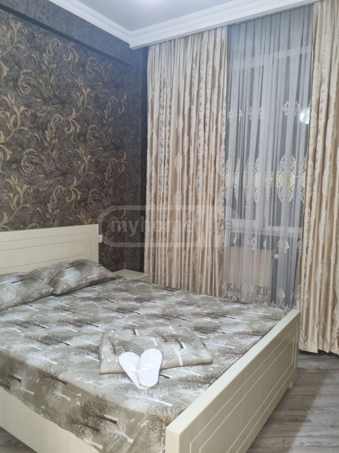 Daily Rent 3 Room Apartment Didubeshi view 6