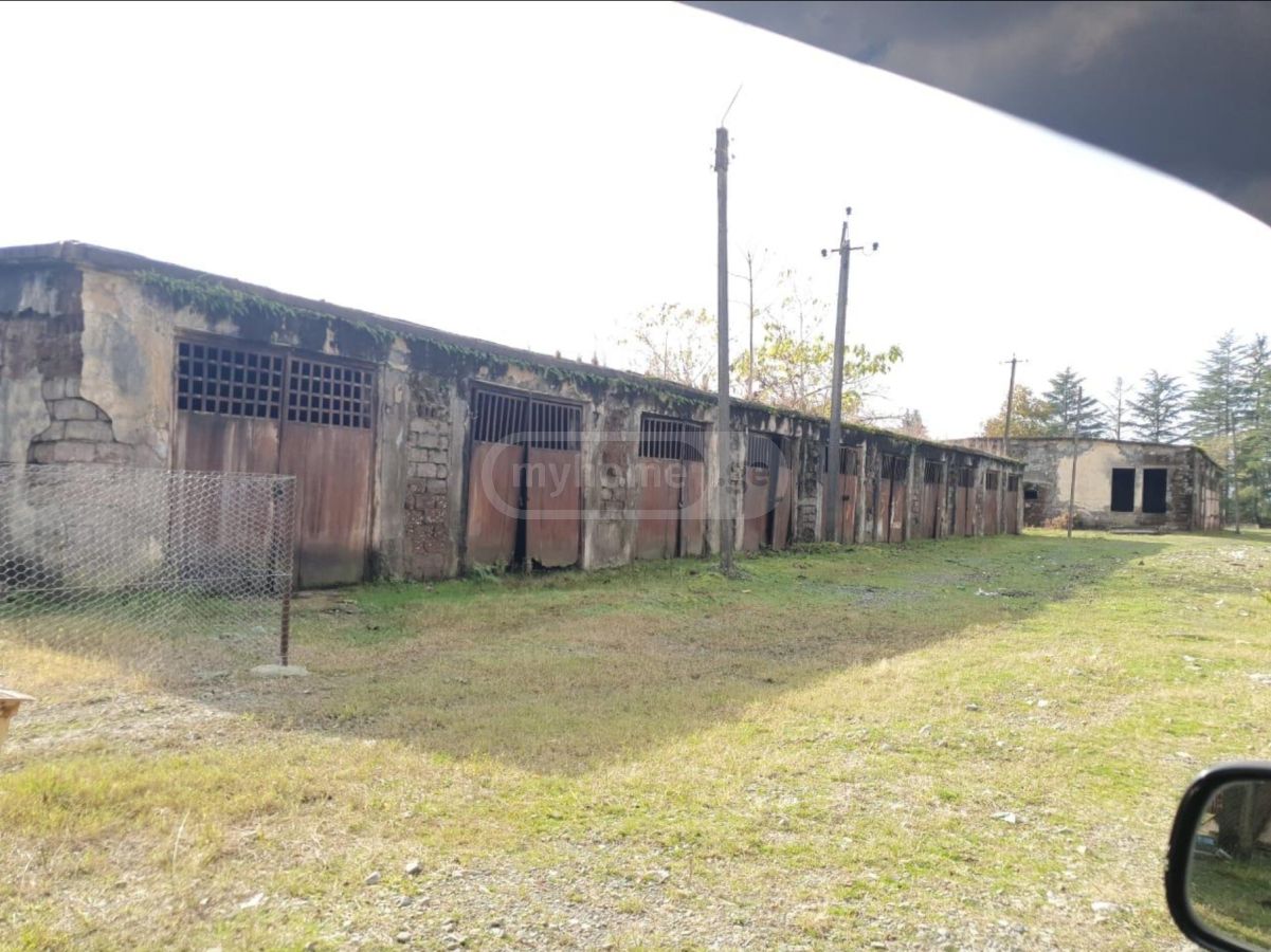 For Sale Spetsialuri Commercial Space Ozurgetshi view 6