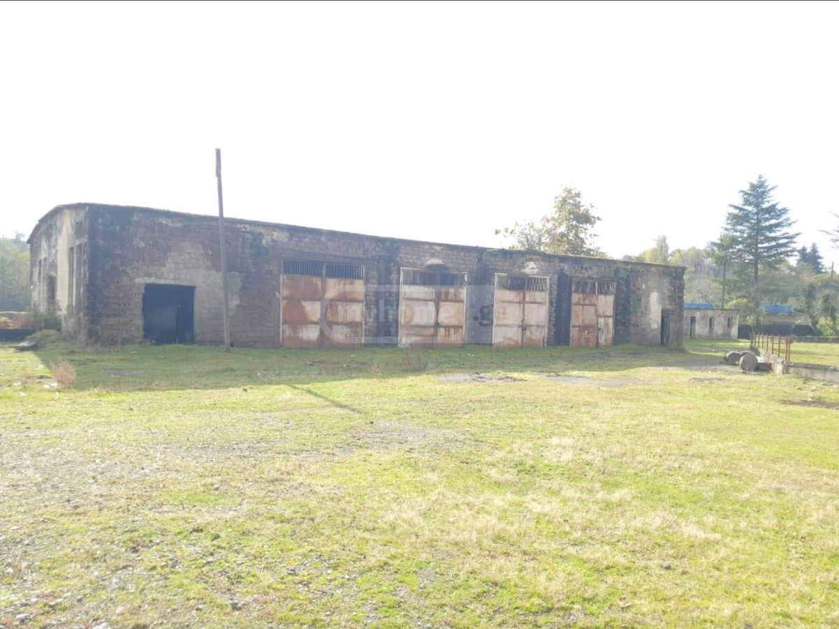 For Sale Spetsialuri Commercial Space Ozurgetshi view 7