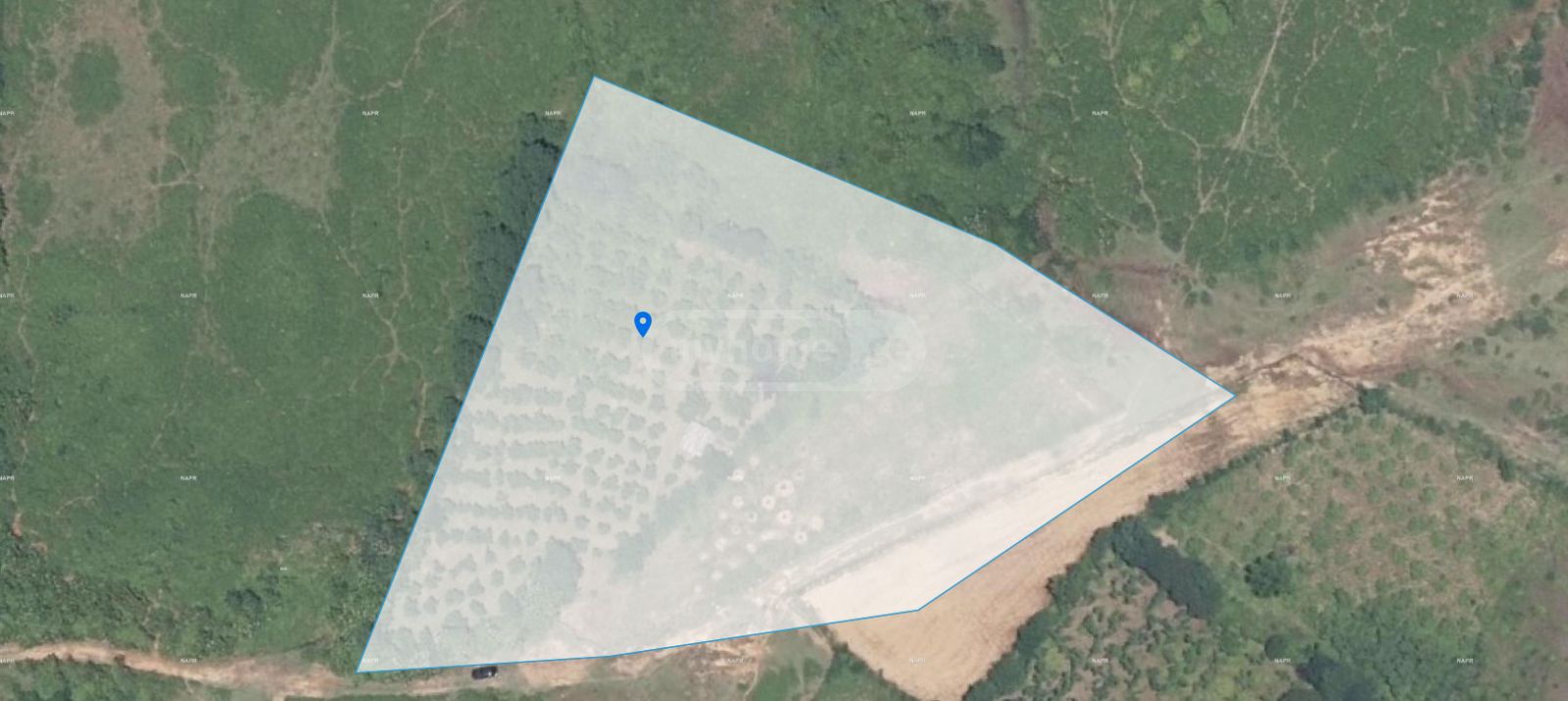 Agricultural Plot For Sale In Zugdidi view 6