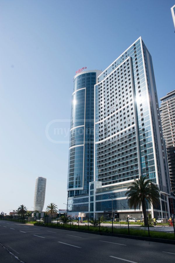 1 Room Apartment Daily Rent In Batumi view 9