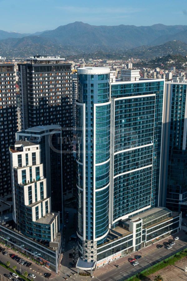 1 Room Apartment Daily Rent In Batumi view 12