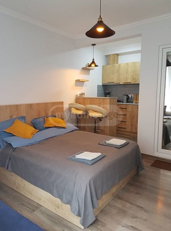 1 Room Private House Daily Rent In Borjomi view 1