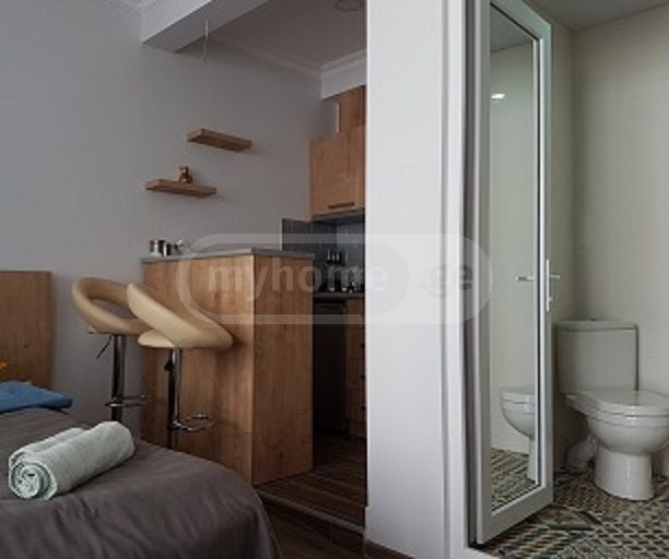 1 Room Private House Daily Rent In Borjomi view 11