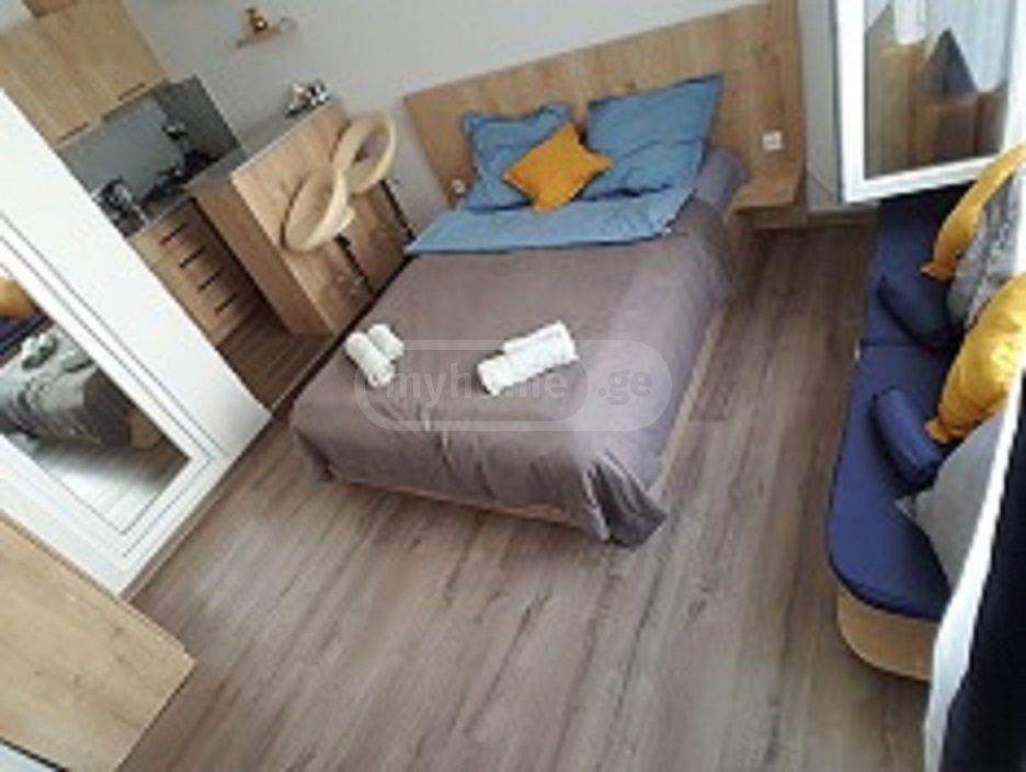 1 Room Private House Daily Rent In Borjomi view 6