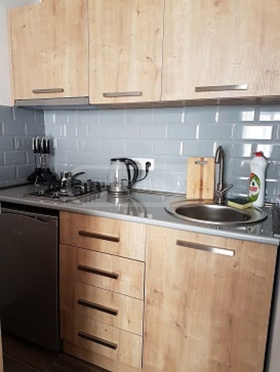 1 Room Private House Daily Rent In Borjomi view 8