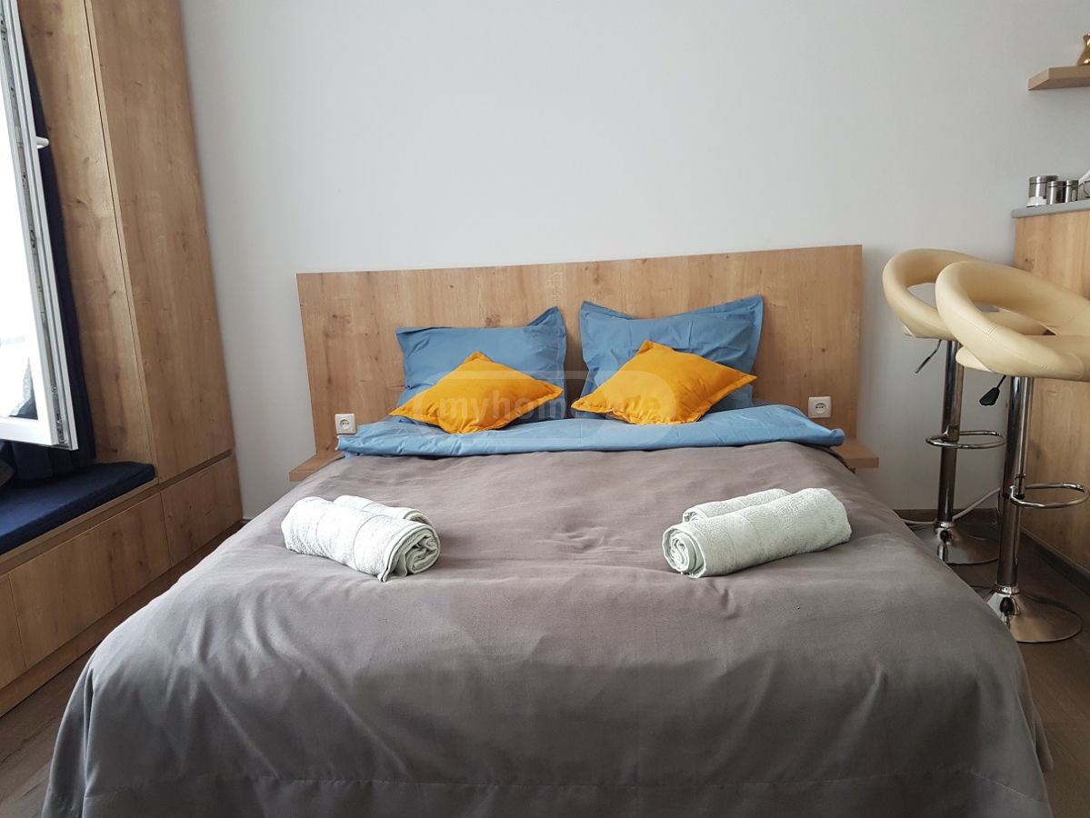 1 Room Private House Daily Rent In Borjomi view 9