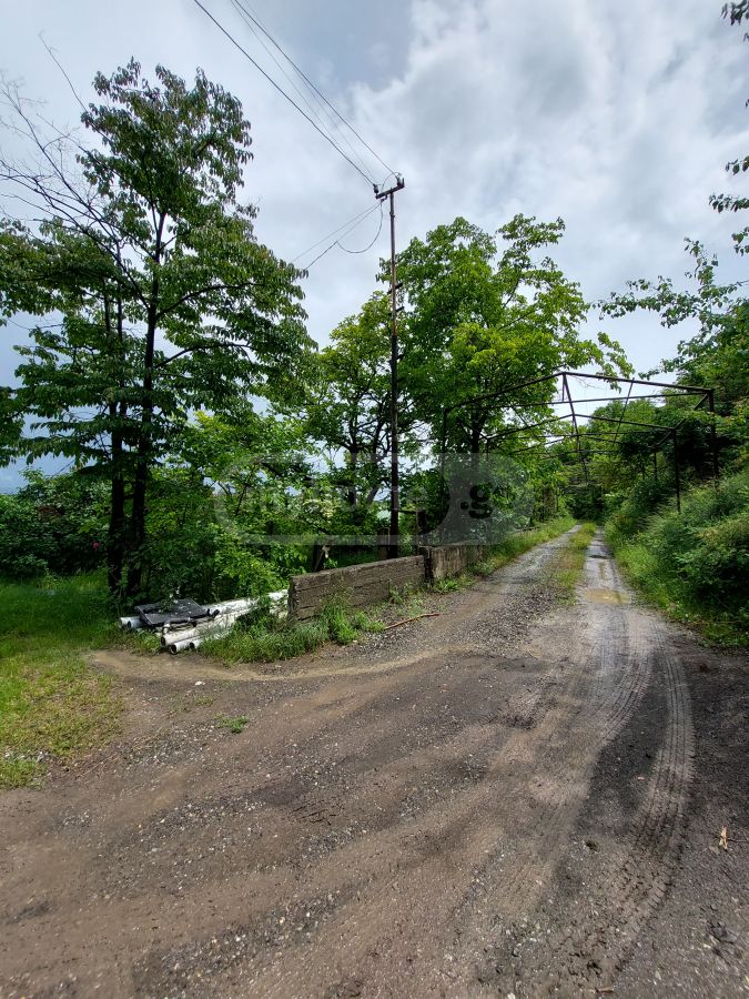 For Sale Sasoplo-Sameurneo Land Plot In Vake, 5 of 5