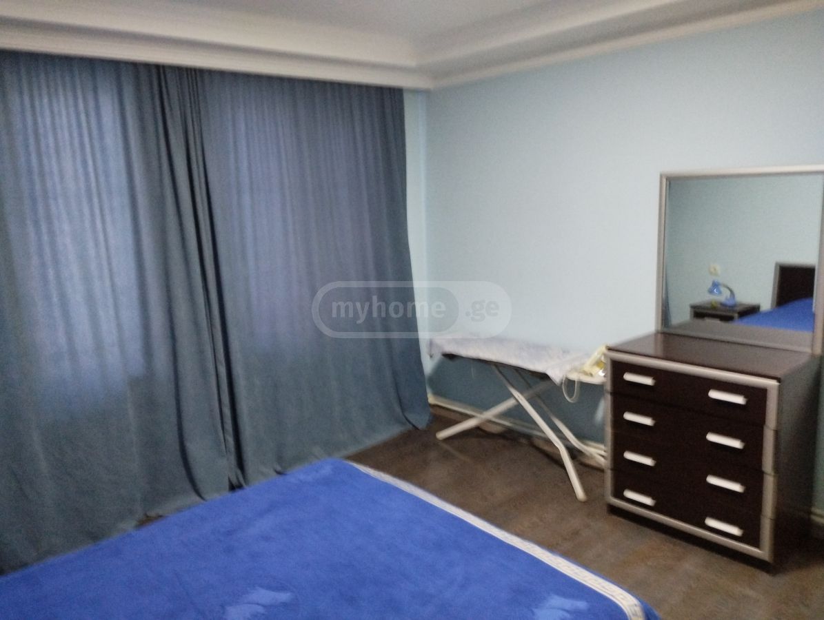 4 Room Private House For Rent In Telavi view 8