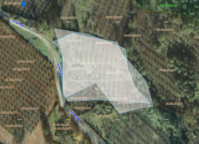 For Sale Sasoplo-Sameurneo Land Plot Zugdidis Munitsipalitetshi view 10
