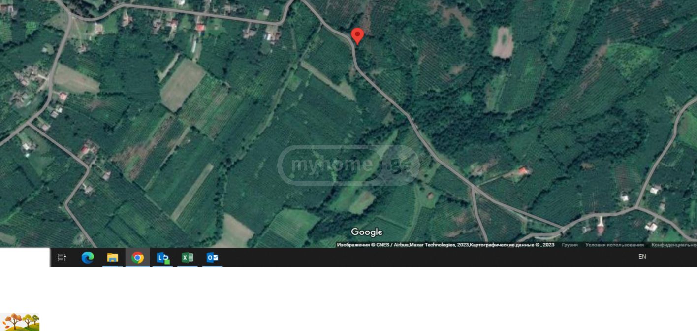 For Sale Sasoplo-Sameurneo Land Plot Zugdidis Munitsipalitetshi view 11
