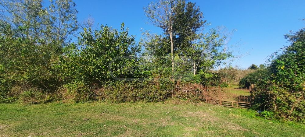 For Sale Sasoplo-Sameurneo Land Plot Zugdidis Munitsipalitetshi view 7