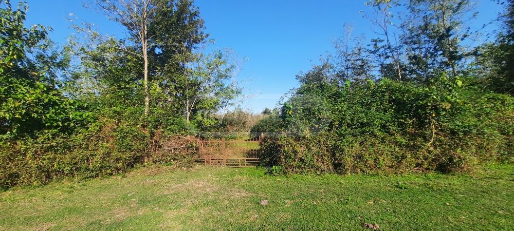 For Sale Sasoplo-Sameurneo Land Plot Zugdidis Munitsipalitetshi view 9