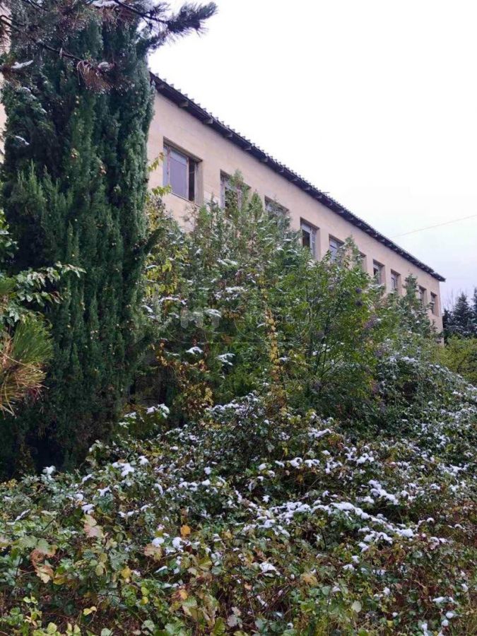 For Sale Satsarmoo Commercial Space Sagarejoshi view 6