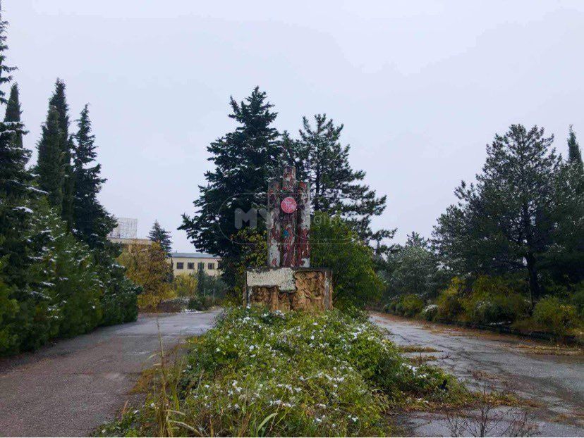 For Sale Satsarmoo Commercial Space Sagarejoshi view 5