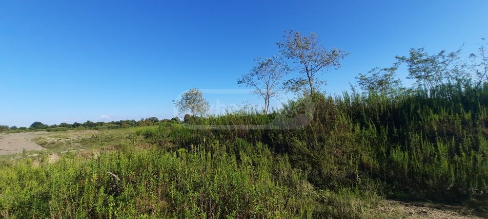 Продажа Земля / участок в Zugdidis Munitsipalitetshi view 12