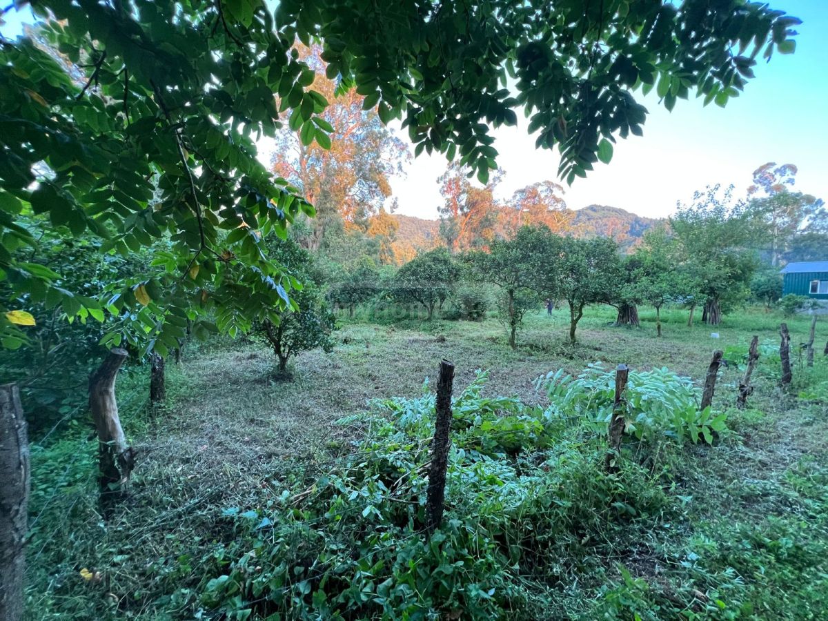 For Sale Sasoplo-Sameurneo Land Plot Khelvachauris Munitsipalitetshi view 3