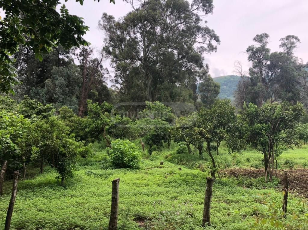 For Sale Sasoplo-Sameurneo Land Plot Khelvachauris Munitsipalitetshi view 5
