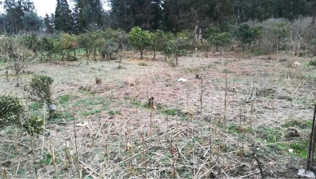 For Sale Sasoplo-Sameurneo Land Plot Khelvachauris Munitsipalitetshi view 6