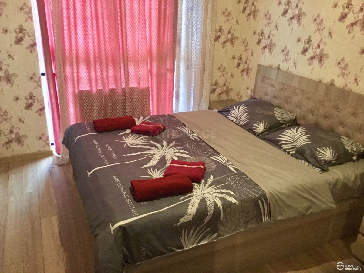 2 Room Apartment Daily Rent In Varketili view 1